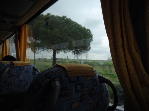 First view of the Italian countryside